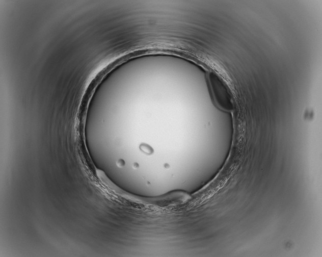 X0000098050928200804111309