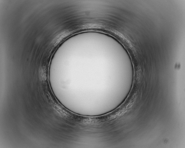 X0000098050929200804111309