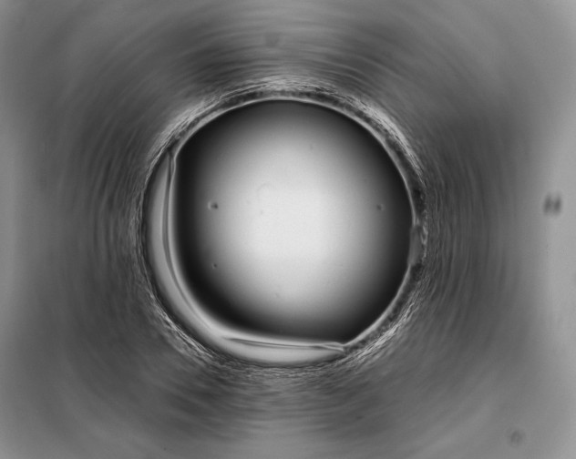 X0000098050930200804111309