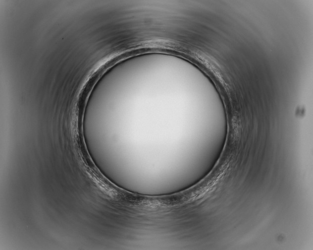 X0000098050931200804111309