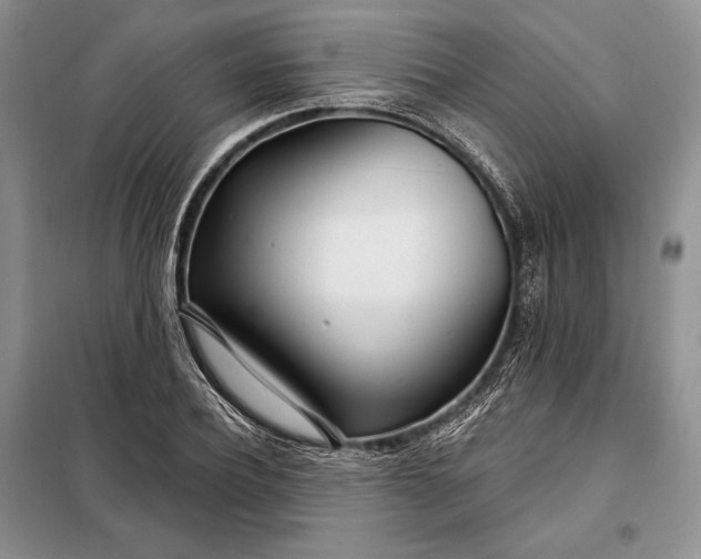 X0000098050932200804111309