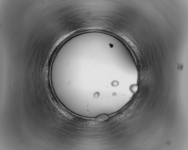 X0000098050933200804111309