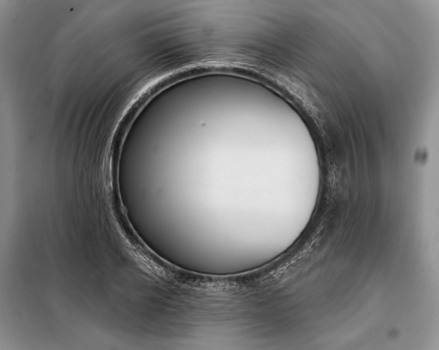 X0000098050934200804111309