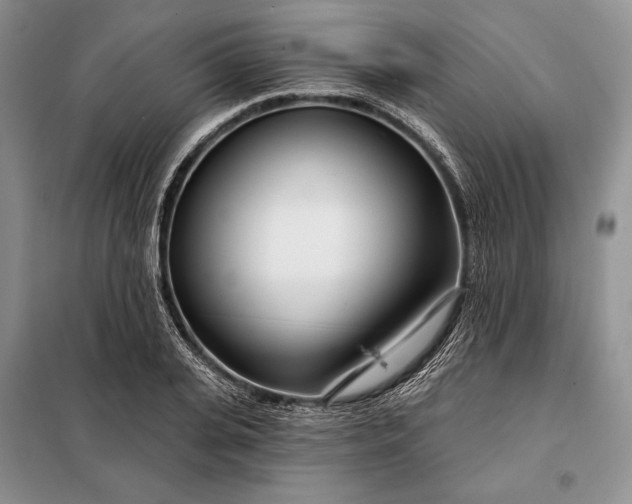 X0000098050935200804111309