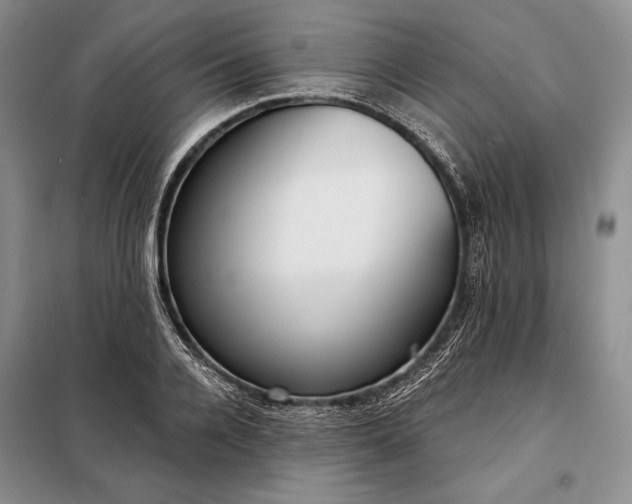 X0000098050936200804111309