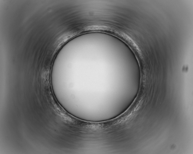 X0000098050937200804111309