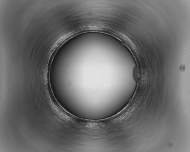 X0000098050938200804111309