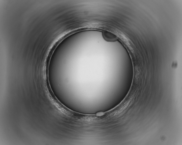 X0000098050939200804111309