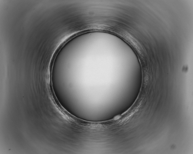 X0000098050940200804111309