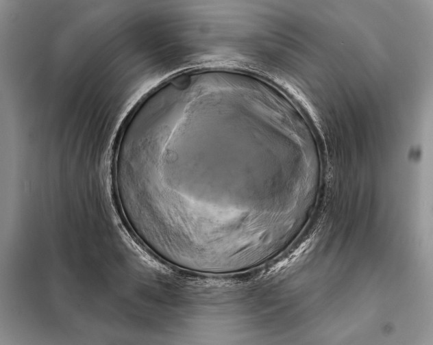 X0000098050941200804111309