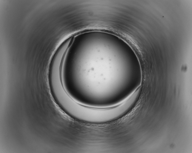 X0000098050942200804111309