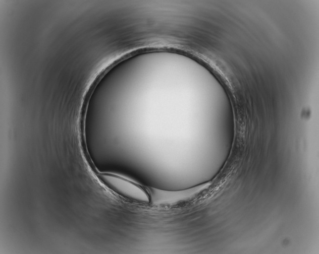 X0000098050943200804111309