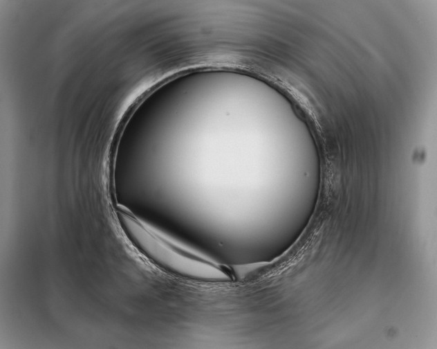 X0000098050944200804111309