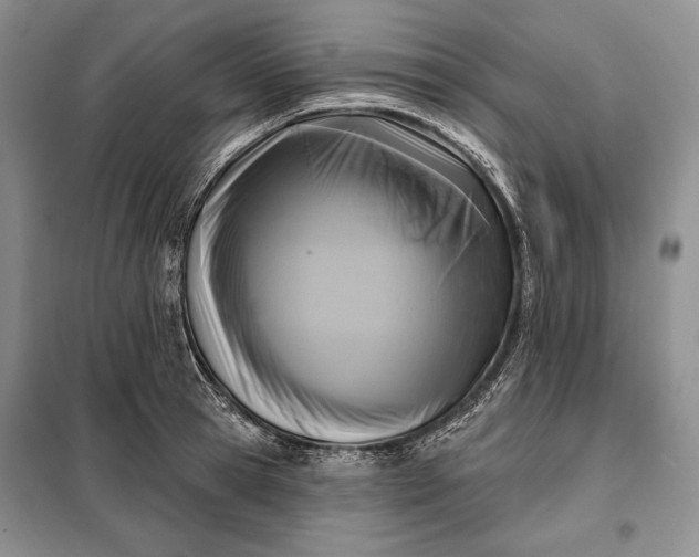 X0000098050945200804111309