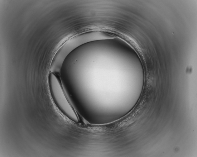 X0000098050946200804111309