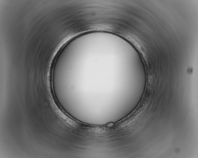 X0000098050947200804111309