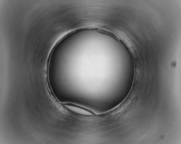 X0000098050948200804111309