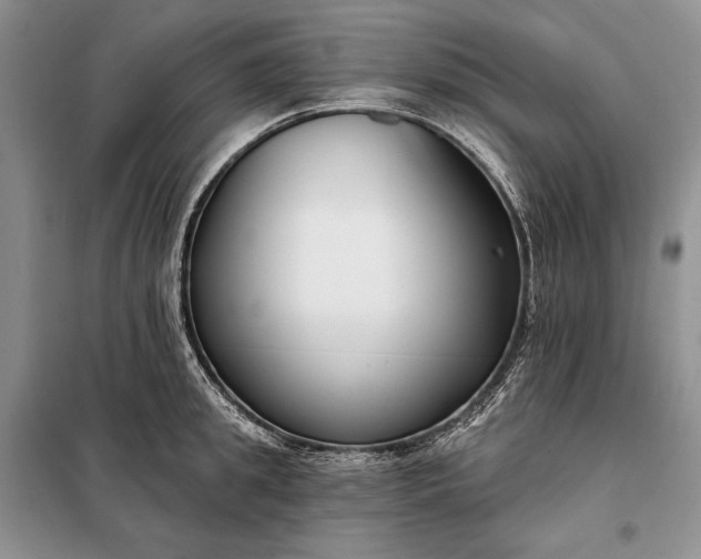 X0000098050949200804111309