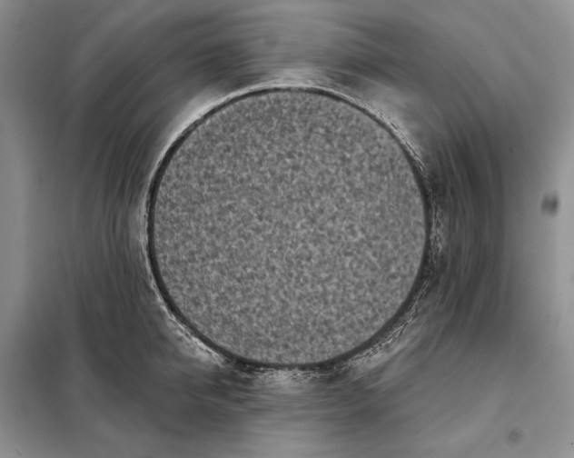 X0000098050950200804111309