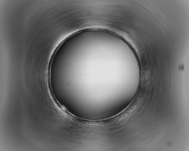 X0000098050951200804111309