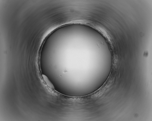 X0000098050952200804111310