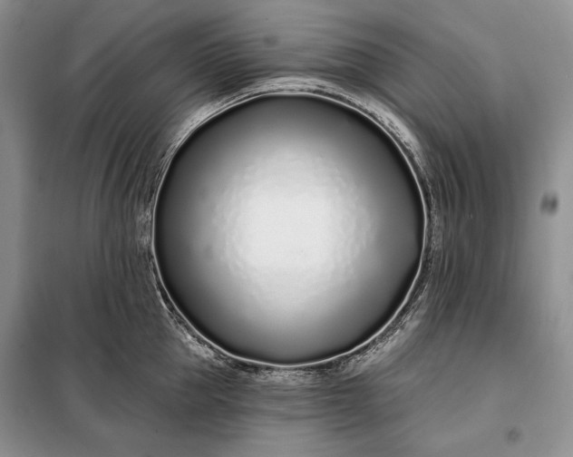 X0000098050953200804111310