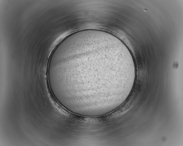 X0000098050954200804111310