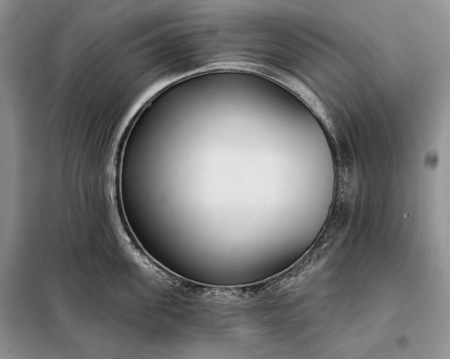 X0000098050955200804111310