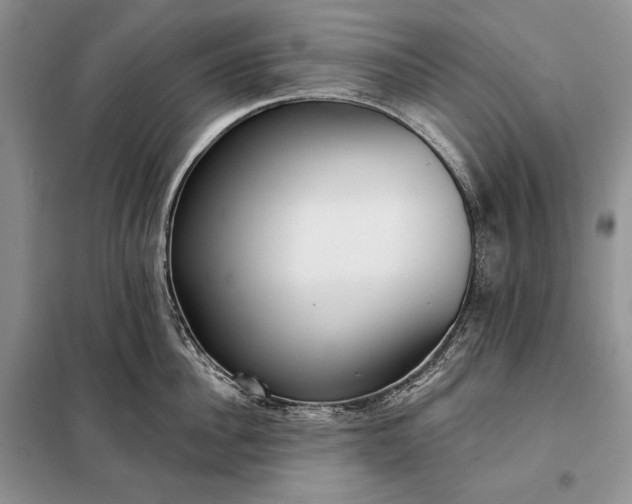 X0000098050956200804111310