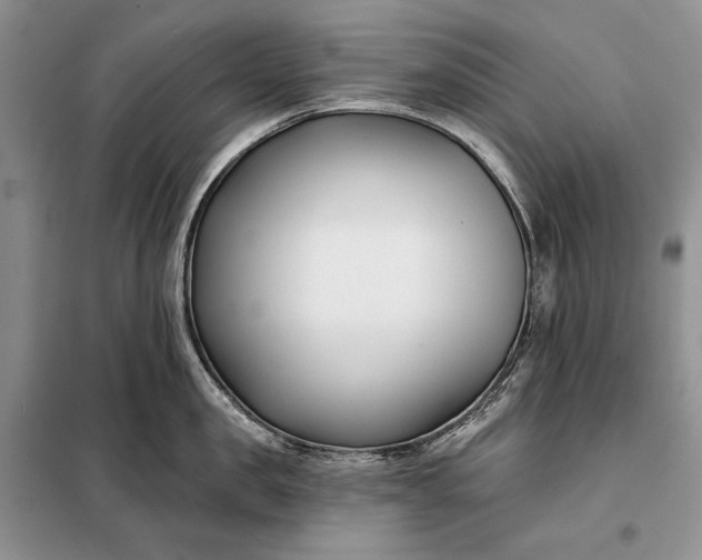 X0000098050957200804111310