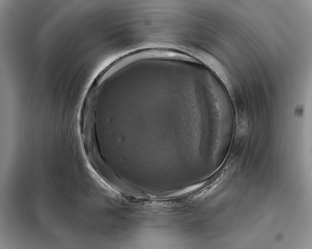 X0000098050958200804111310