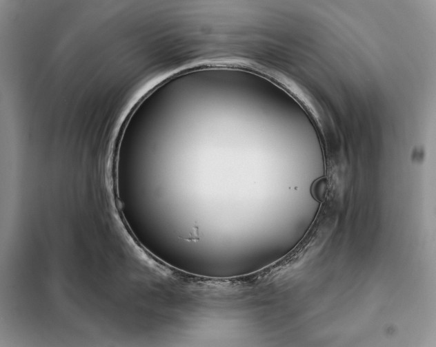 X0000098050959200804111310