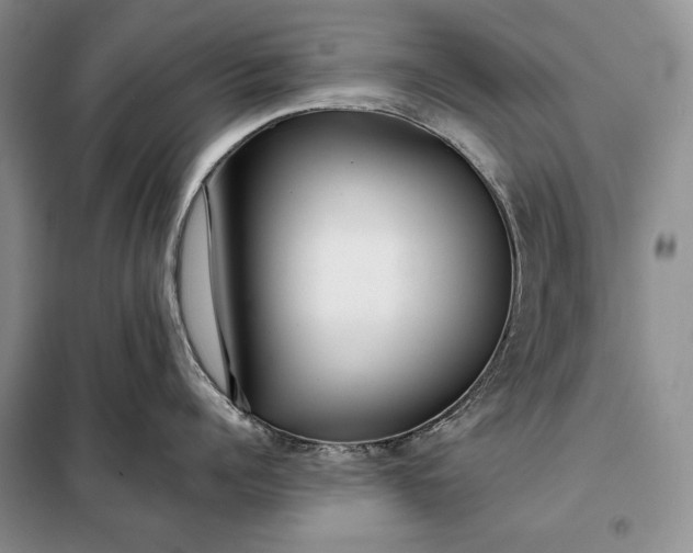 X0000098050960200804111310