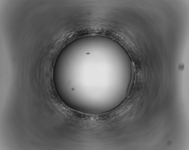 X0000098050961200804111309