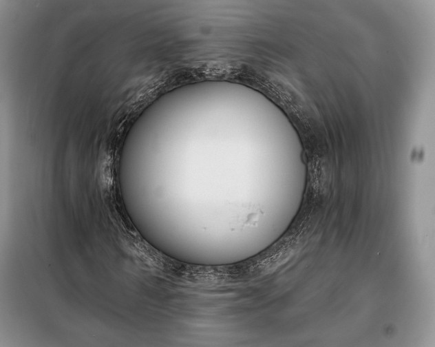 X0000098050962200804111309