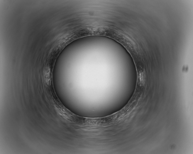 X0000098050963200804111309