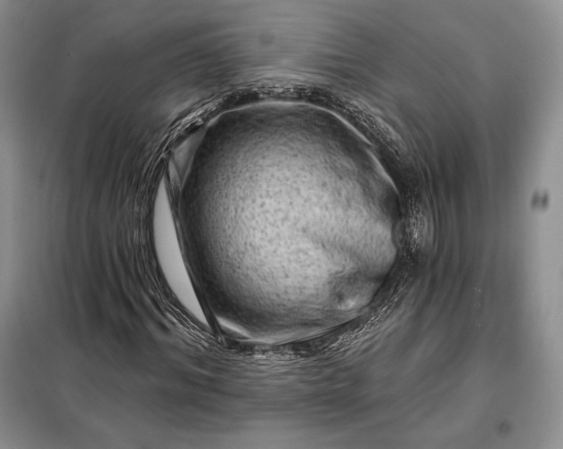 X0000098050964200804111309