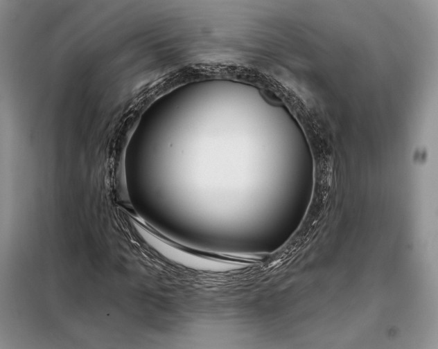 X0000098050965200804111309