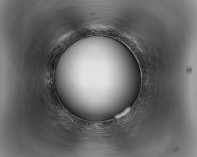 X0000098050966200804111309