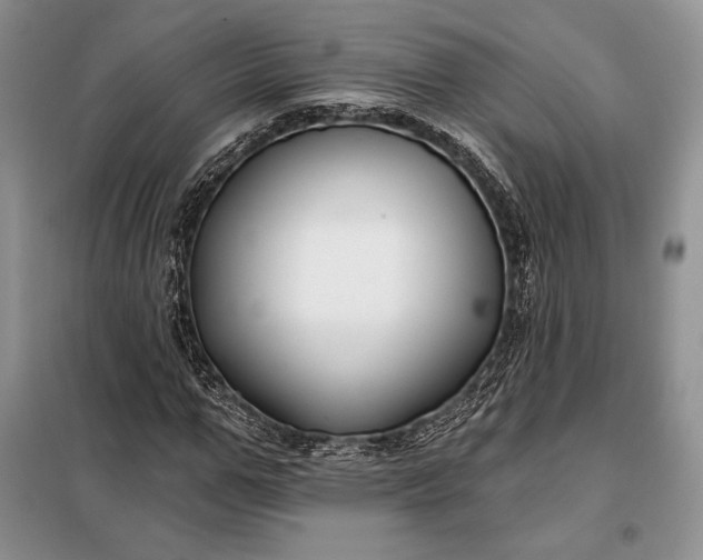 X0000098050967200804111309