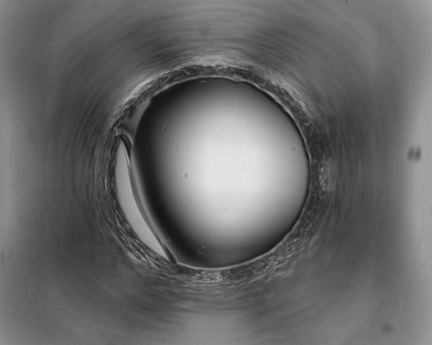 X0000098050968200804111309