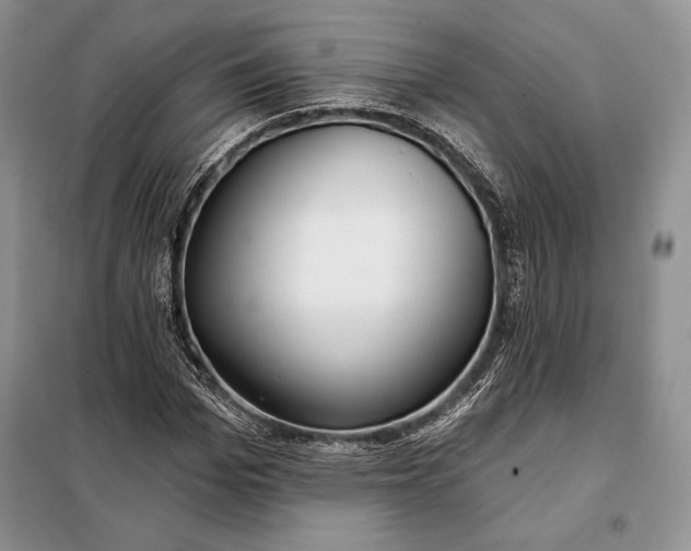 X0000098050969200804111309