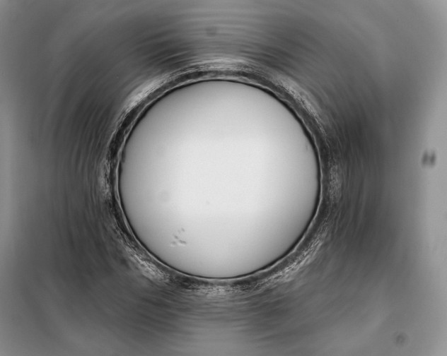 X0000098050970200804111308