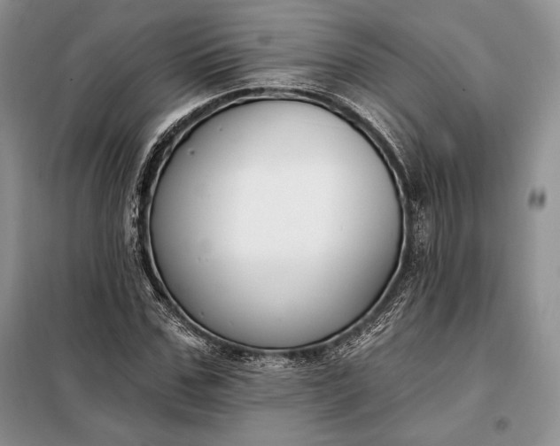 X0000098050971200804111308