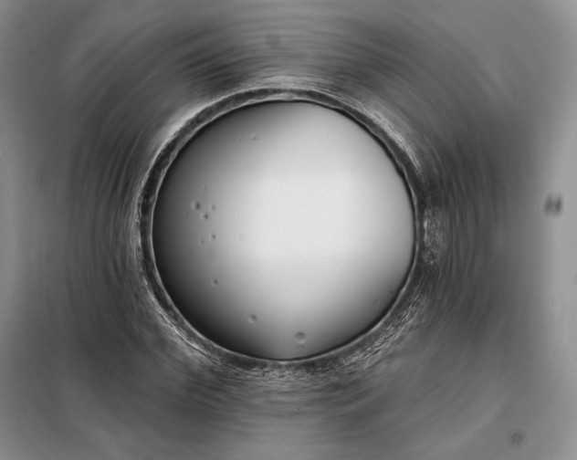 X0000098050972200804111308