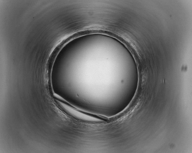 X0000098050973200804111308