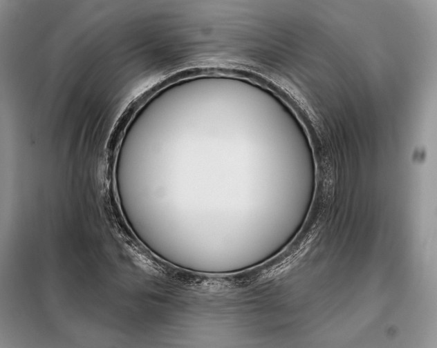 X0000098050974200804111308