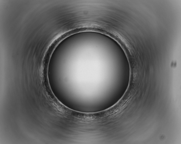 X0000098050975200804111308