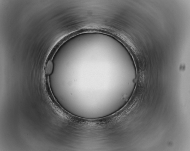 X0000098050976200804111308