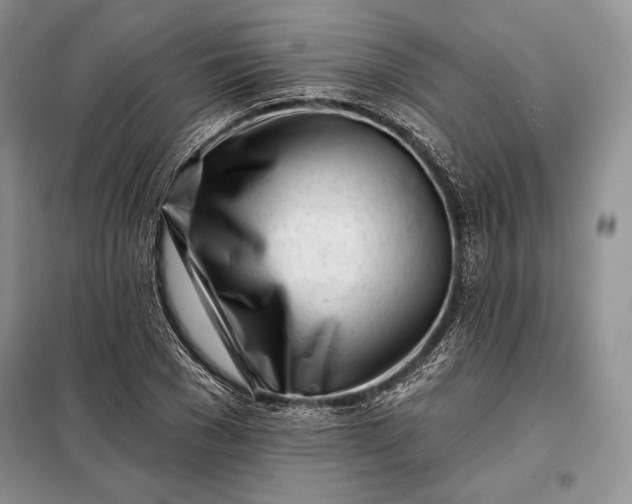 X0000098050977200804111308